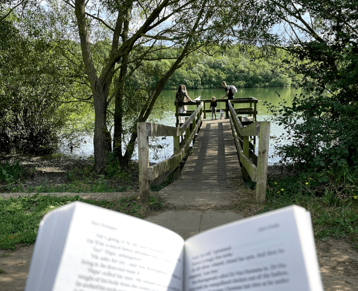 My view from Ruislip Lido, as I sat to finish the book this morning